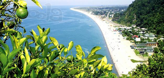 Сборные грузы, логистика, доставка, перевозки, переезды