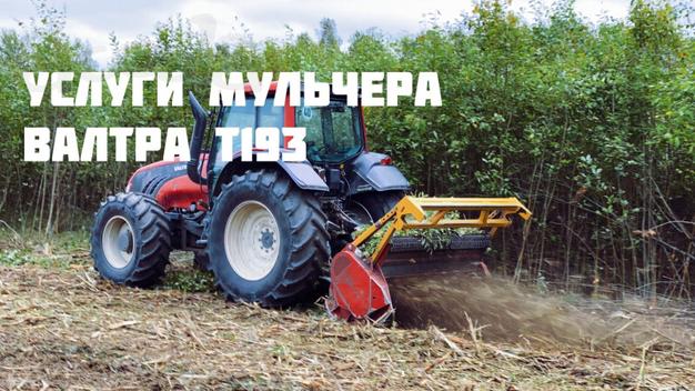 Расчистка с/х полей, расширение ЛЭП, мульчирование порубочных остатков, аренда лесной и с/х техники, измельчитель веток, аренда мульчера
