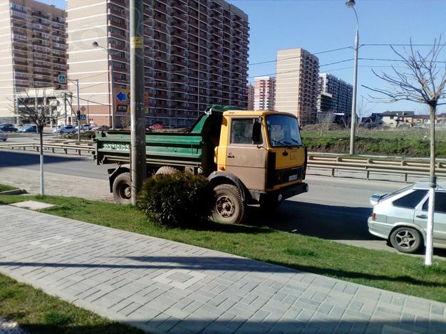 Ищу работу для самосвала