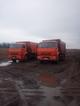 Аренда самосвала КАМАЗ 6520